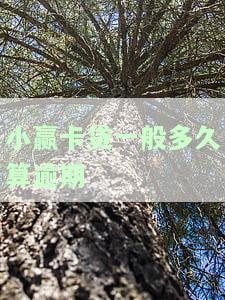 小赢卡贷最晚多久到账，小赢卡贷：借款成功后，最晚多久能收到贷款？