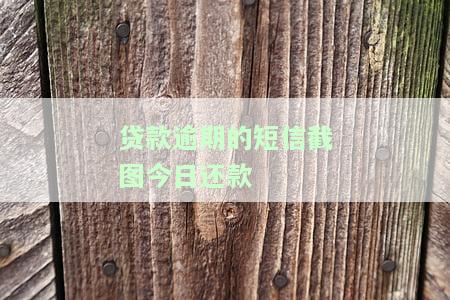 贷款逾期短信内容，警惕！您的贷款已逾期，立即处理以免产生更多费用