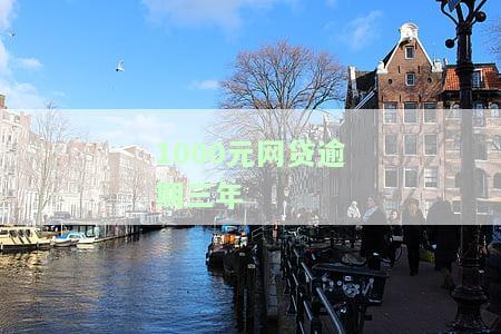 网贷1000逾期三年利息多少？求解答！