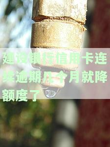 建行的信用卡逾期还款以后多久能使用，如何恢复建设银行信用卡逾期后的使用权限？