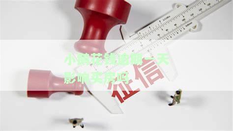 小鹅花钱不小心逾期一天咋办，小鹅花钱逾期一天怎么办？解决方案全在这里！