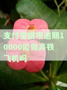 支付宝借呗逾期能坐高铁吗，支付宝借呗逾期会影响你的高铁出行吗？