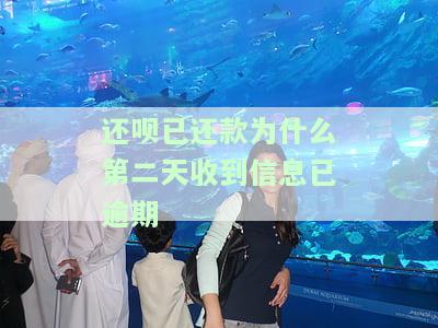 还呗已还款却仍显示逾期订单，扣款成功为何未更新记录？
