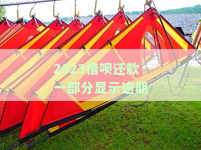 2023借呗还款一部分逾期原因解析
