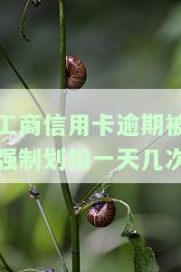 工商信用卡逾期一天怎么办？算逾期吗？