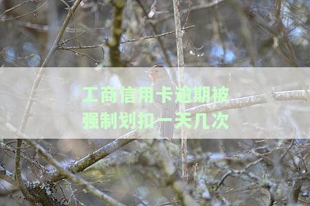 如果欠工商银行信用卡名下银行卡会被强制扣款吗，欠工商银行信用卡会影响名下其他银行卡吗？可能会被强制扣款！