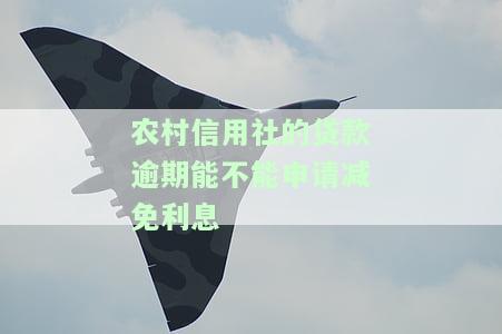 农村信用社贷款逾期有宽限期吗，农村信用社贷款逾期：是否有宽限期？