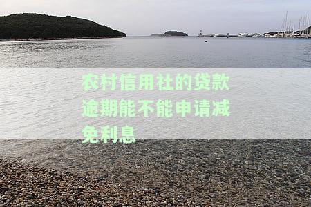 农村信用社的贷款逾期能不能申请减免利息-农村信用社的贷款逾期能不能申请减免利息呢