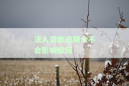 公司法人贷款逾期会不会影响公司运营，公司法人贷款逾期：如何避免影响企业运营？