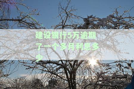 建设银行5万逾期了一个多月利息多少钱，建设银行5万元逾期一个月，利息如何计算？