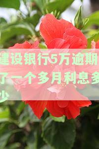建设银行欠款五千,利息违约金一千多，建设银行欠款五千，利息违约金累计超千