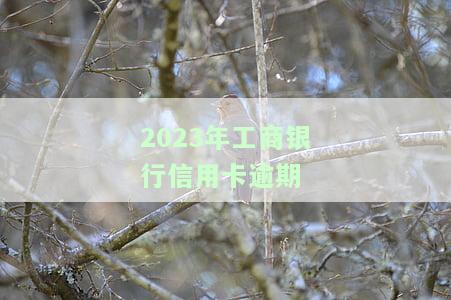 2023年工商银行信用卡逾期新政策是什么，独家揭秘：2023年工商银行信用卡逾期新政策全解析