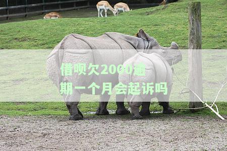 借呗欠2000逾期一个月会起诉吗