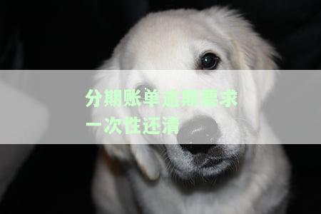 分期账单逾期要求一次性还清？解决方案在此！