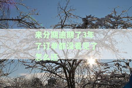 来分期逾期后还款不显示还款记录，解决来分期逾期问题：还款后为何未显示还款记录？