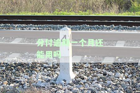 分付逾期一个月还能使用吗？还款方式及影响解析