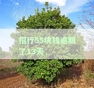 招行55块钱逾期了13天会怎样，逾期13天，招行55元信用卡会产生什么后果？