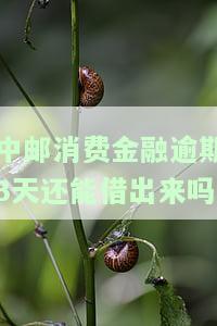 中邮消费金融逾期一天会如何影响后续？