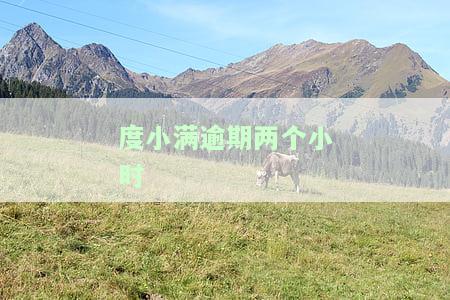 度小满金融逾期两个月：如何解决两月未还款问题？