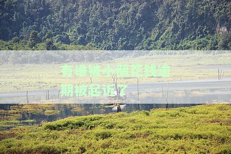 小鹅花钱逾期2年亲身经历：高风险还是低风险？