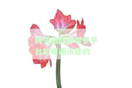 哪些网贷逾期会爆通讯录？全面解析逾期风险与应对策略