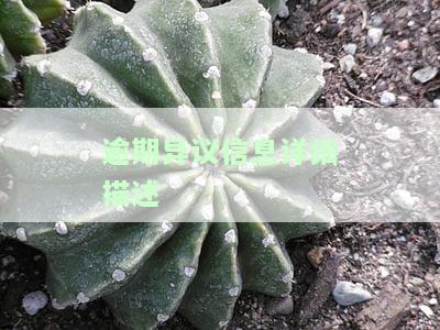 逾期异议申请成功后能否再次申请贷款？