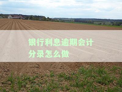 银行利息逾期会计分录：如何处理？应计入哪个科目？