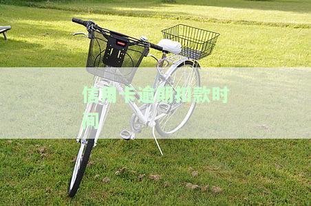 信用卡逾期滞纳金，了解信用卡逾期滞纳金：如何避免高额罚款？