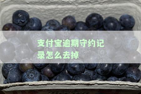 支付宝逾期守约信用如何恢复？逾期是否会影响个人征信？