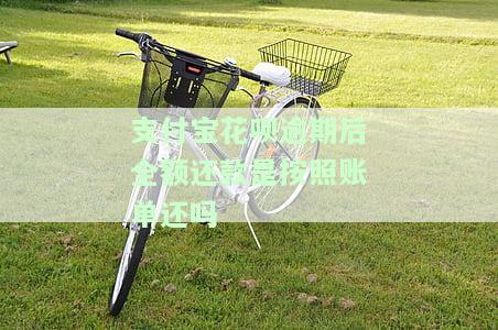 花呗逾期全额还款后，多久能再次使用花呗？