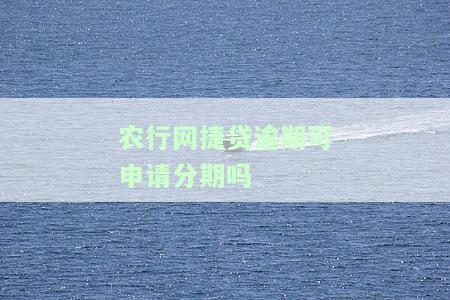 农行网捷贷逾期能否申请分期？如何办理？