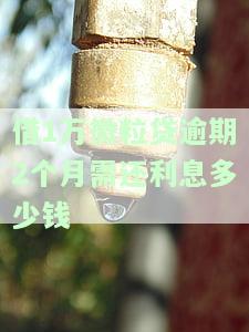 微粒贷逾期1万多2年多了，逾期两年，微粒贷仍未偿还1万多元，面临严重后果