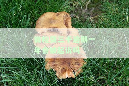 微粒贷三千逾期一年会被起诉吗-微粒贷三千逾期一年会被起诉吗知乎