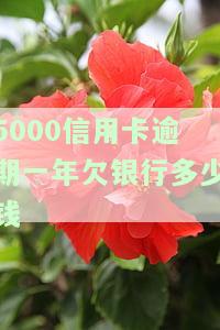 5000信用卡逾期一年，欠银行多少钱会被起诉？