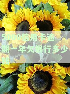 信用卡5000逾期1年会怎样？影响及处理方式解析