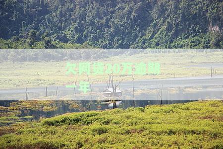欠网贷20万逾期一年利息多少？计算方法及可能的后果
