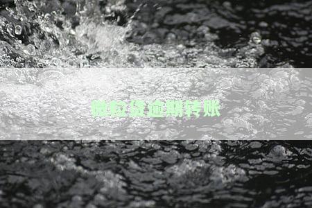 微粒贷逾期转账还款是否安全？