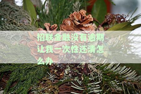 招联金融没有逾期让我一次性还清怎么办-招联金融没有逾期让我一次性还清怎么办呢