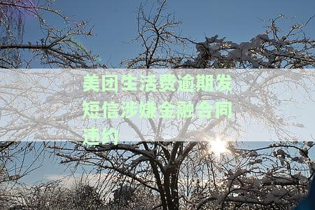 美团生活费逾期发短信涉嫌金融合同违约怎么办，如何处理美团生活费逾期催收短信，维护金融合同权益？