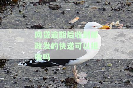 网贷逾期收到邮政寄来的邮件可以拒收吗，拒收网贷逾期催收邮件合法吗？