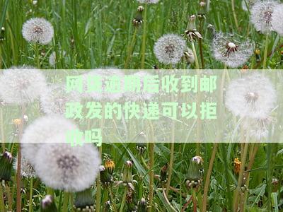 网贷逾期今天收到ems邮件，警示：网贷逾期者请注意，今日已收到EMS催款邮件！