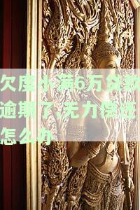 欠度小满6万贷款逾期了,无力偿还怎么办，欠款6万，小满贷款逾期无力偿还，应该怎么办？