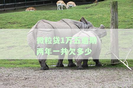 微粒贷1万五逾期两年，总欠款及利息是多少？