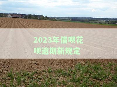 2021年借呗逾期新法规，了解2021年最新借呗逾期法规，避免信用受损！