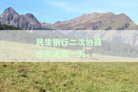 民生银行逾期两个月能否协商分期还款？详细操作方法介绍
