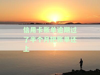 半个月没还信用卡，逾期还款15天：信用卡债务危机如何解决？