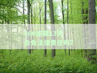 逾期13天：后面是否会要求一次性还款？