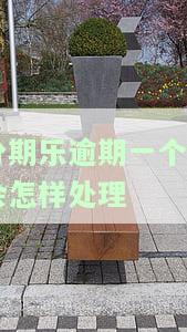 分期乐逾期一个月会怎样处理-分期乐逾期了一个月会有什么后果?