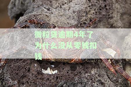 微粒贷逾期3年未被起诉原因及无力偿还解决办法