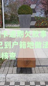 欠款逾期，需前往户所在地核实，如何操作？